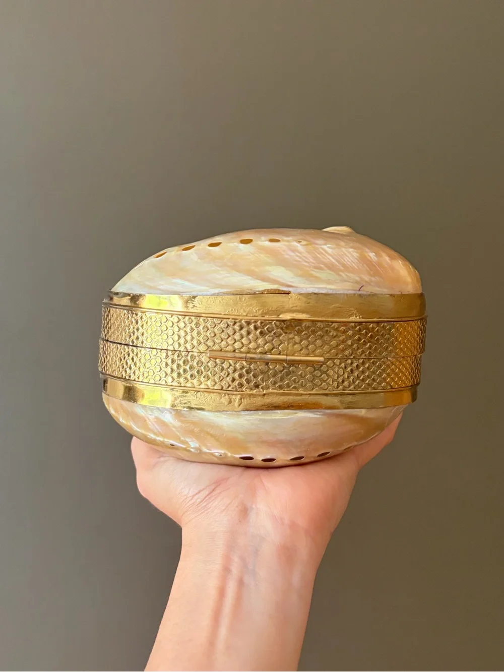 Iridescent Shell Clutch Wristlet in Cream